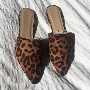 Leopard Mules 🐆❤️